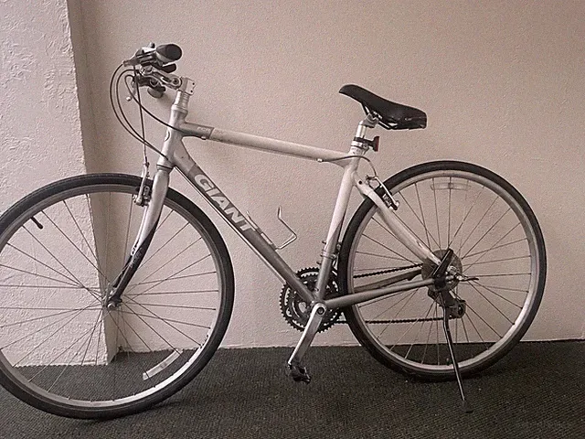 Giant Hybrid Bike 700C M Silver V-Brake Riser Bar Trigger Shifters Kickstand